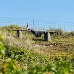 Newly Renovated 300 M From The North Sea Feriehus